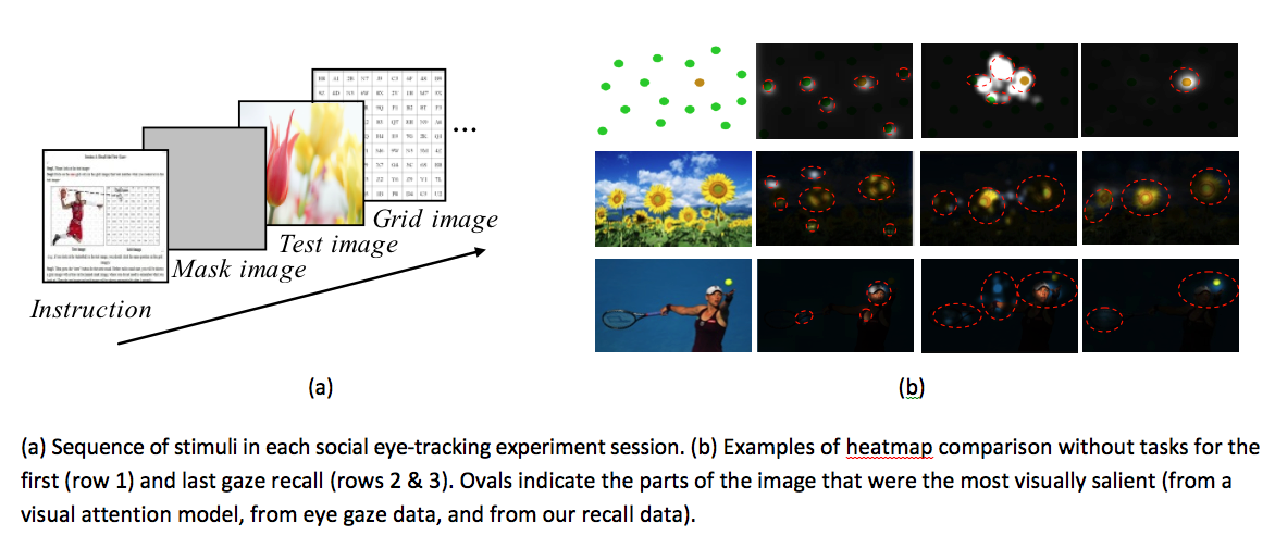 eye tracking online